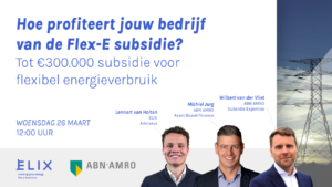 hoe profiteert jouw bedrijf van de flex e subsidie 300x169